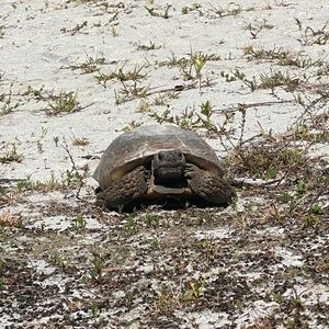 Meet your Posher, Mia